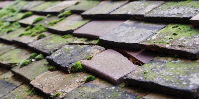 Cambourne roof repair costs